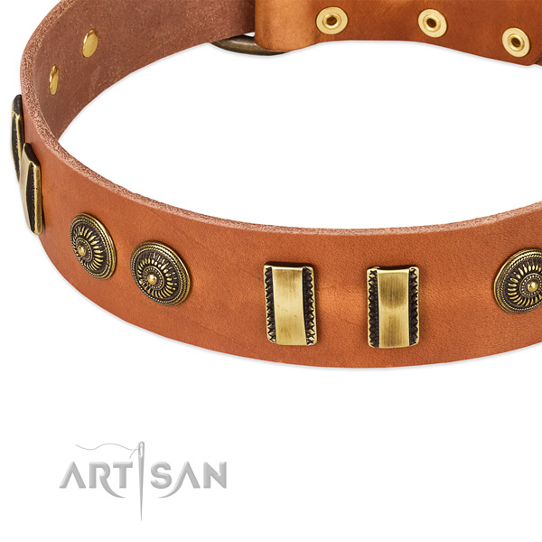 Corrosion proof studs on genuine leather dog collar for your four-legged friend