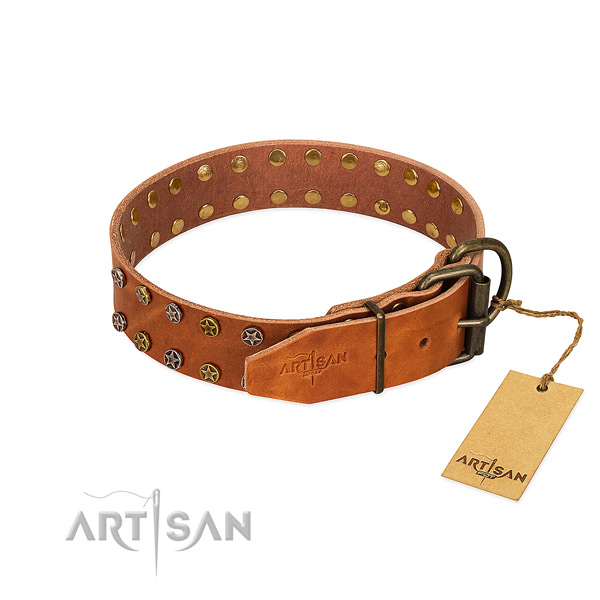Walking leather dog collar with unique studs