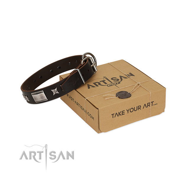 Stunning collar of leather for your handsome canine