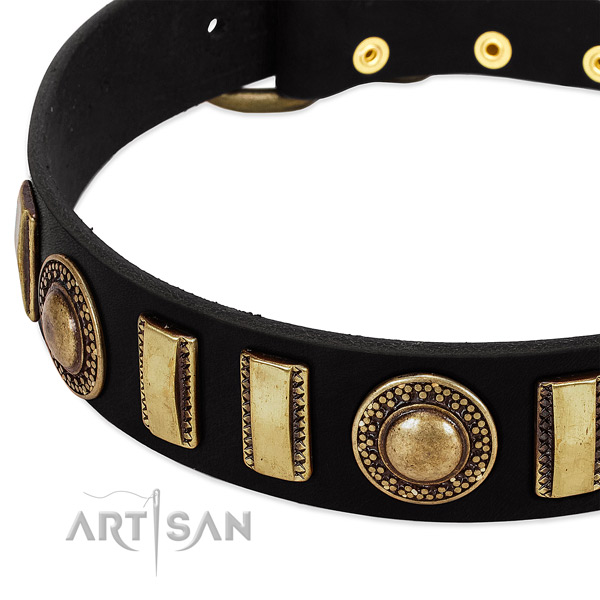 High quality leather dog collar with reliable D-ring