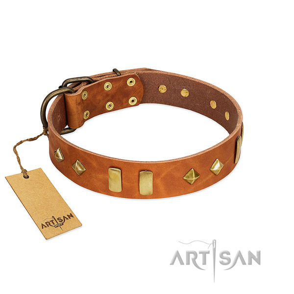 Everyday use soft to touch full grain natural leather dog collar with adornments