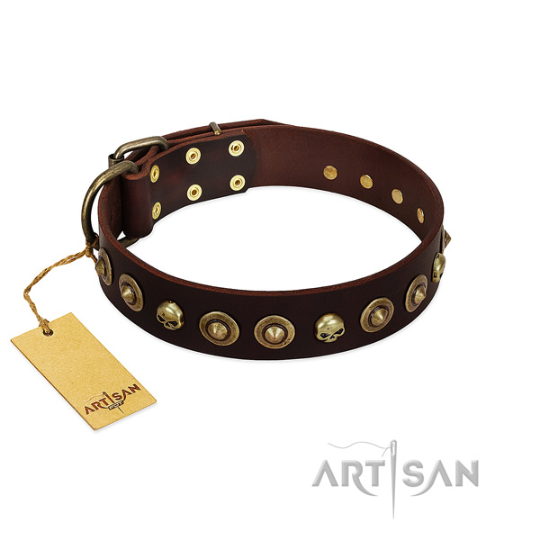 Leather collar with incredible embellishments for your four-legged friend
