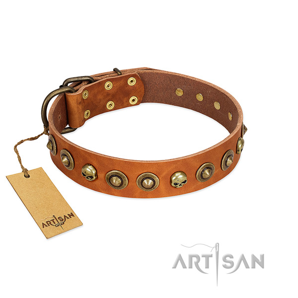 Leather collar with awesome adornments for your dog