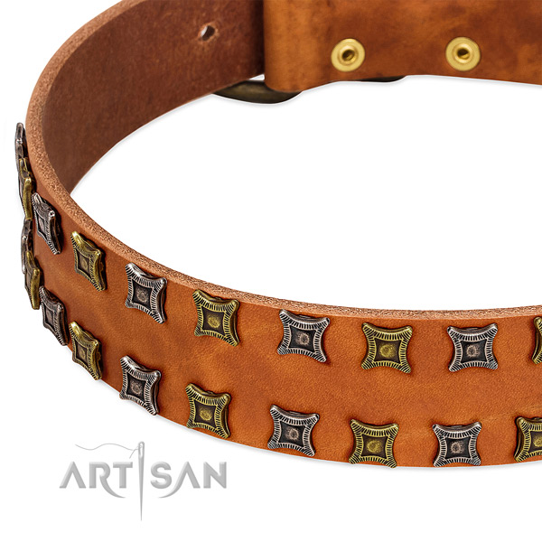 High quality full grain genuine leather dog collar for your handsome pet