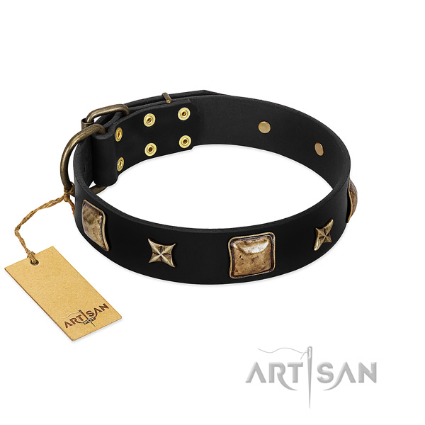 Full grain genuine leather dog collar of soft material with unusual embellishments