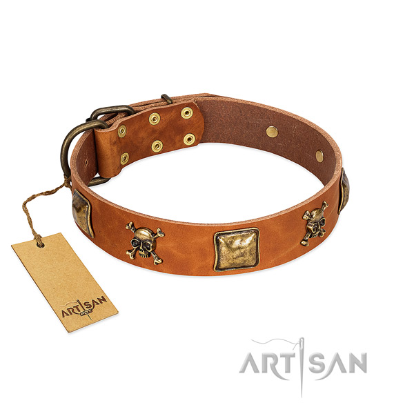 Designer leather dog collar with corrosion proof decorations