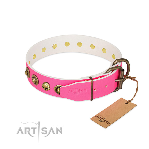 Leather collar with top notch adornments for your canine