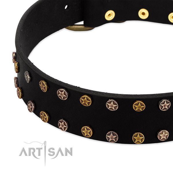Remarkable decorations on genuine leather collar for your doggie