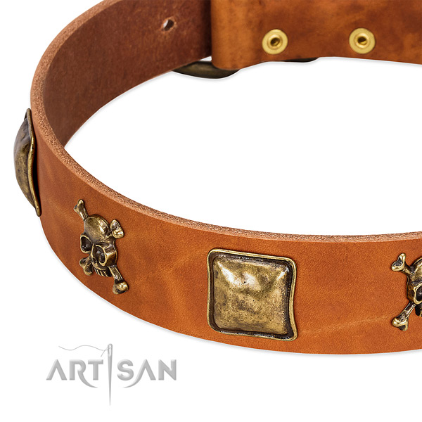 Impressive embellishments on full grain genuine leather collar for your dog