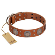 "Sun Rise Noon" FDT Artisan Tan Leather Cane Corso Collar with Unique Design  "Sun Rise Noon" FDT Artisan Tan Leather Cane Corso Collar with Unique Design