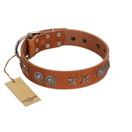 "Splendid Armor" Premium Quality FDT Artisan Tan Designer Cane Corso Collar with Shields and Stars  "Splendid Armor" Premium Quality FDT Artisan Tan Designer Cane Corso Collar with Shields and Stars