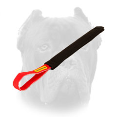 Cane Corso puppy training tug with one handle