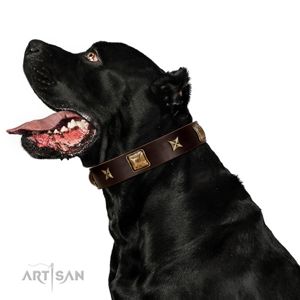 Easy adjustable natural leather dog collar with studs