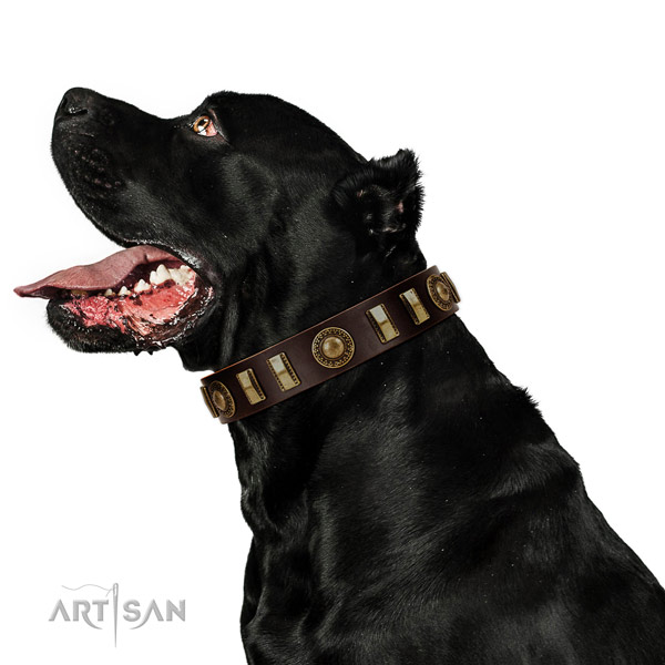 Strong natural leather dog collar with corrosion proof fittings