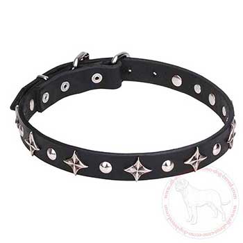Leather Cane Corso collar with stars and studs
