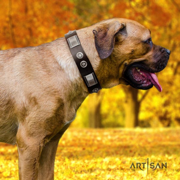 Cane Corso natural genuine leather collar with reliable fittings