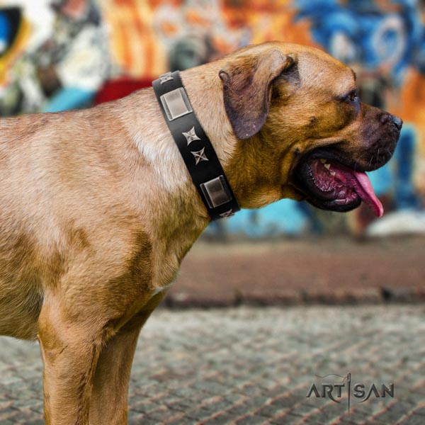 Cane Corso full grain leather collar with reliable fittings