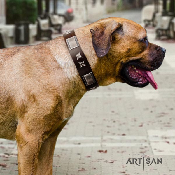 Cane Corso full grain leather collar with rust-proof fittings