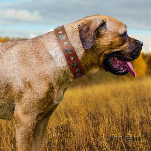 Cane Corso genuine leather collar with rust-proof hardware