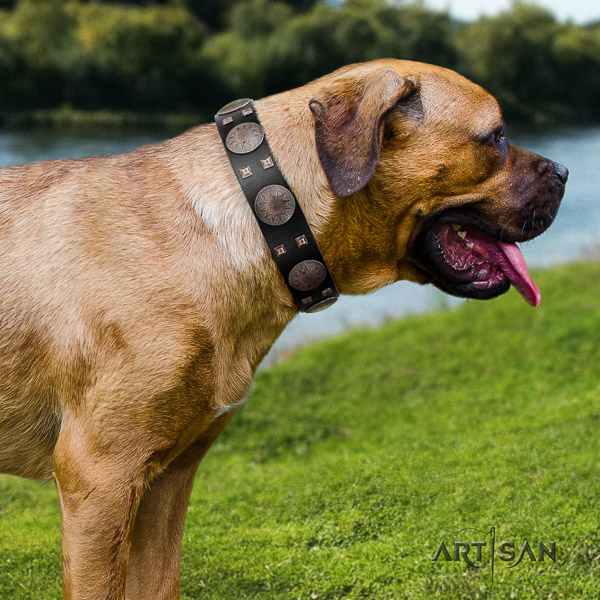 Cane Corso stunning natural genuine leather dog collar for basic training