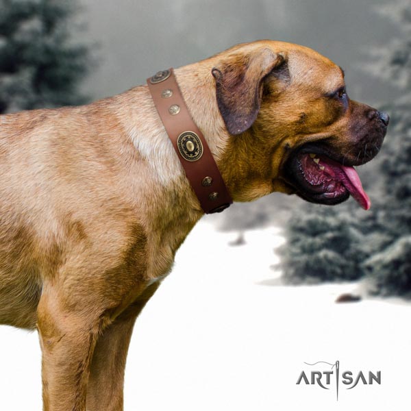 Cane Corso studded collar made of best quality full grain leather