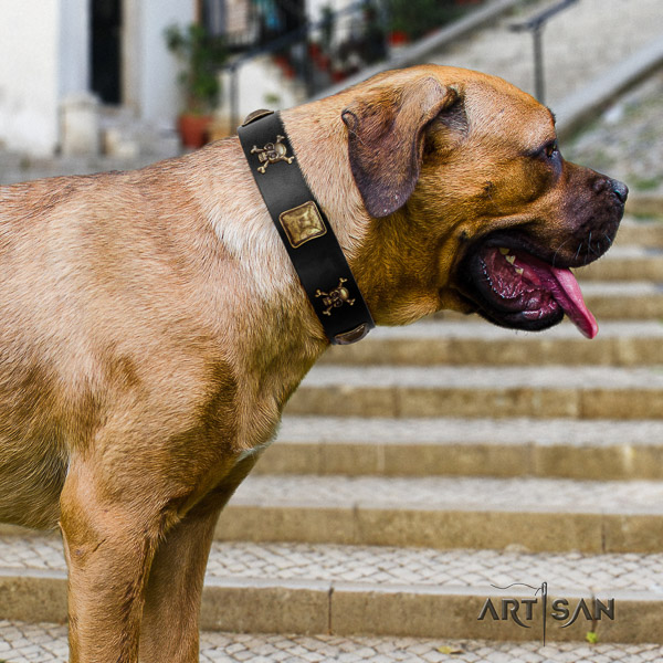 Cane Corso impressive full grain natural leather dog collar for handy use