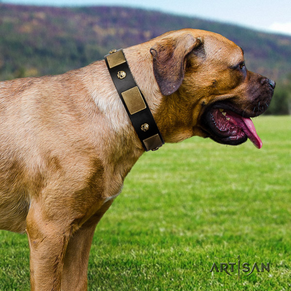 Cane Corso decorated leather dog collar for everyday walking