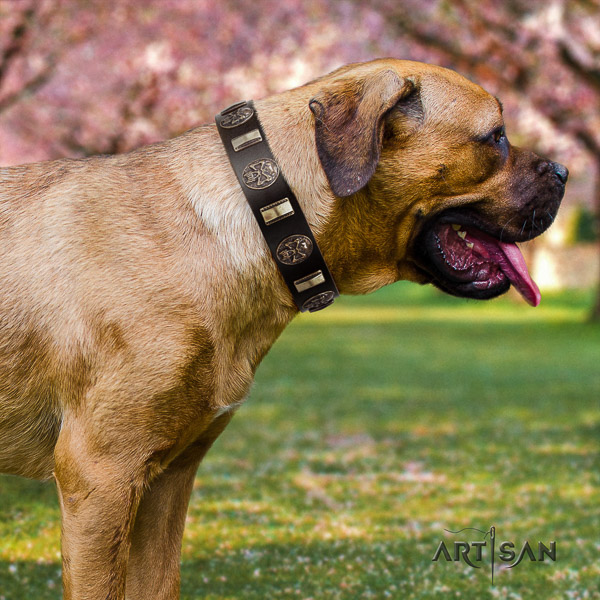 Cane Corso perfect fit leather dog collar for handy use