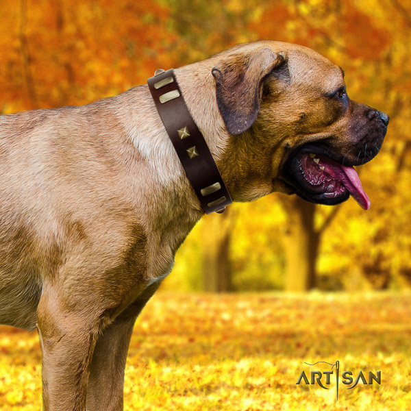 Cane Corso easy to adjust full grain genuine leather dog collar for comfy wearing