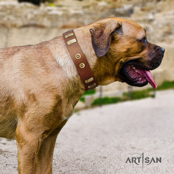Cane Corso embellished full grain leather dog collar for basic training
