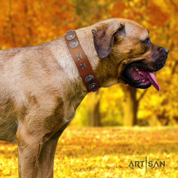 Cane Corso adjustable full grain natural leather dog collar for everyday use