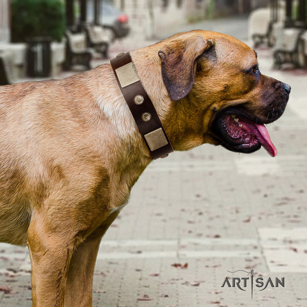 Cane Corso adjustable natural genuine leather dog collar for stylish walking