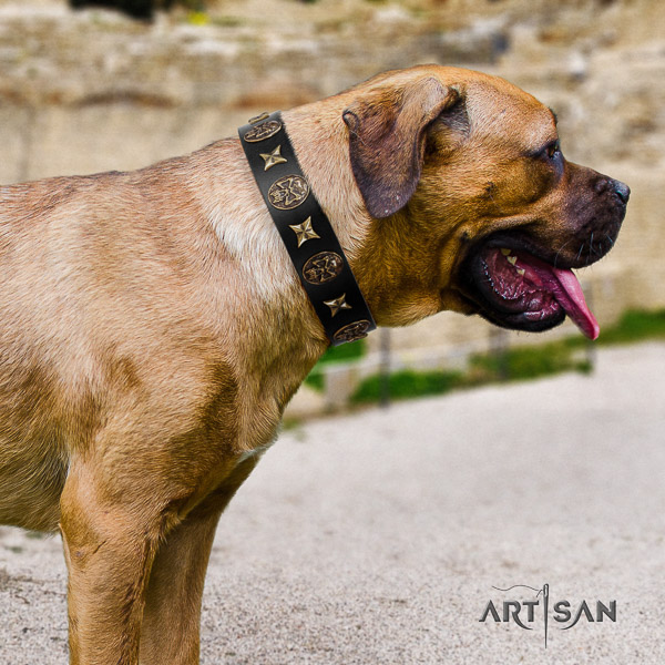 Cane Corso unique full grain natural leather dog collar for walking