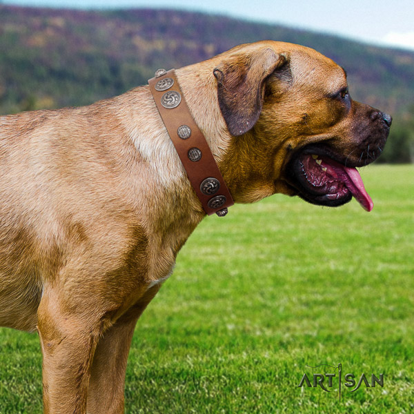Cane Corso handcrafted leather dog collar for comfy wearing