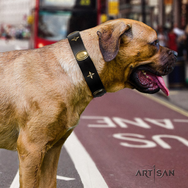 Cane Corso handmade leather dog collar for stylish walking
