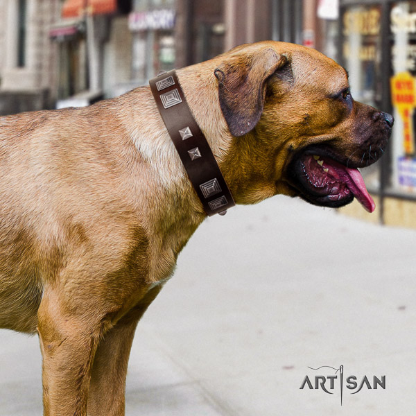 Cane Corso adjustable natural genuine leather dog collar for walking