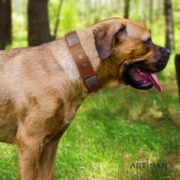 Cane Corso impressive full grain leather dog collar for everyday walking