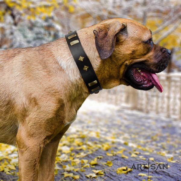 Cane Corso impressive full grain leather dog collar for basic training