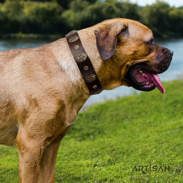 Cane Corso top quality natural genuine leather dog collar for daily walking