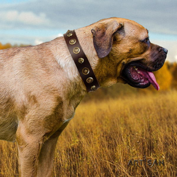 Cane Corso top quality full grain natural leather dog collar for comfortable wearing