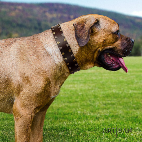 Cane Corso fashionable leather dog collar for fancy walking