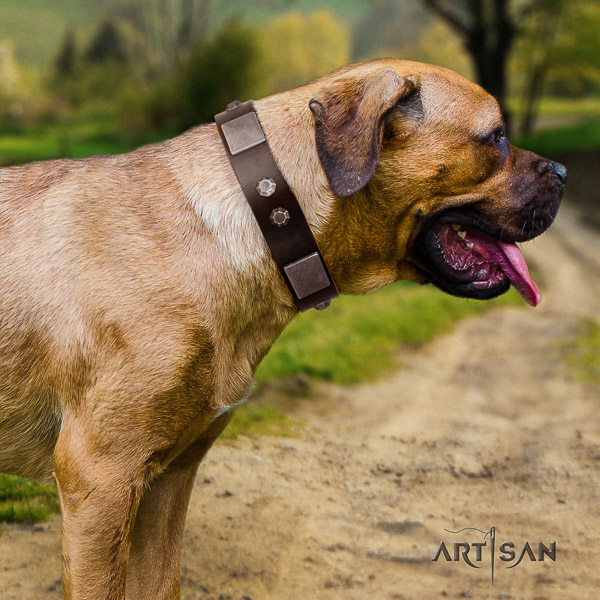 Cane Corso inimitable full grain leather dog collar for walking
