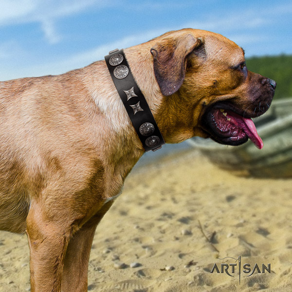 Cane Corso stunning full grain leather dog collar for basic training