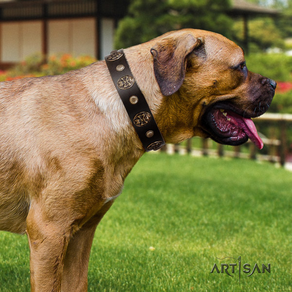Cane Corso stylish design genuine leather dog collar for basic training