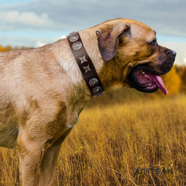 Cane Corso easy to adjust genuine leather dog collar for easy wearing