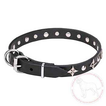 Dog collar for Cane Corso with durable hardware