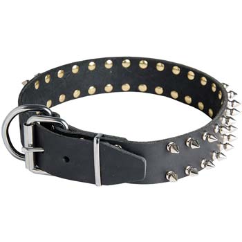 Order Adjustable Spiked Leather Cane Corso Collar | Walking