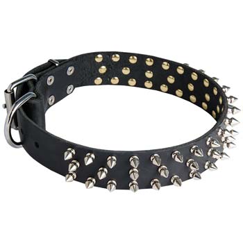 Get Handmade Spiked Leather Cane Corso Collar | Walking