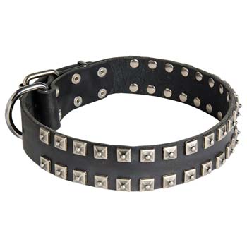 Order Now 2 Rows Studded Leather Cane Corso Collar | Dog Walking