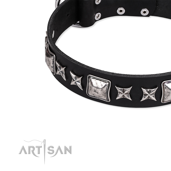 Full grain natural leather dog collar with extraordinary decorations